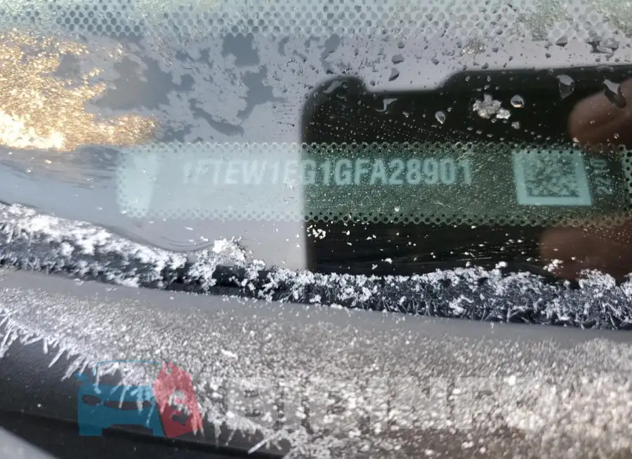 1FTEW1EG1GFA28901 Photo# 13