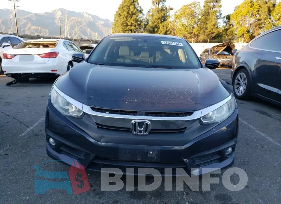 19XFC1F36GE202447 Photo# 5