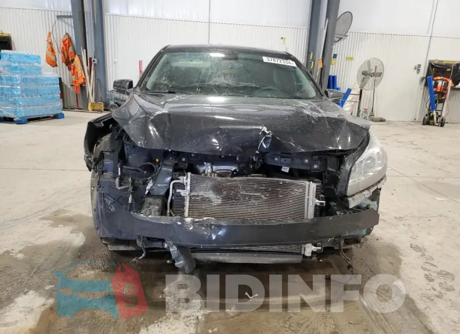 1G11F5SLXFF293413 Photo# 5