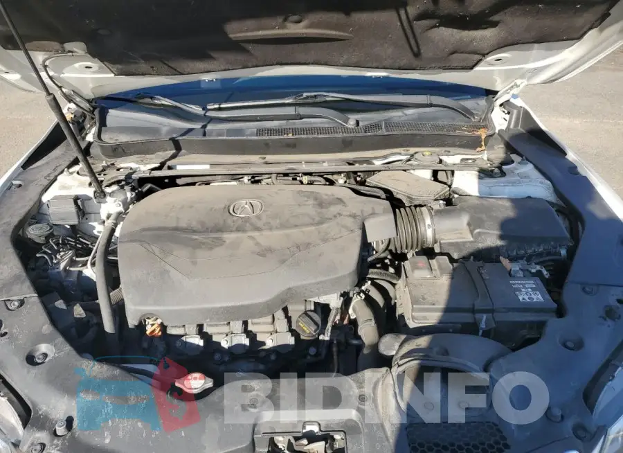 19UUB2F30FA012954 Photo# 11