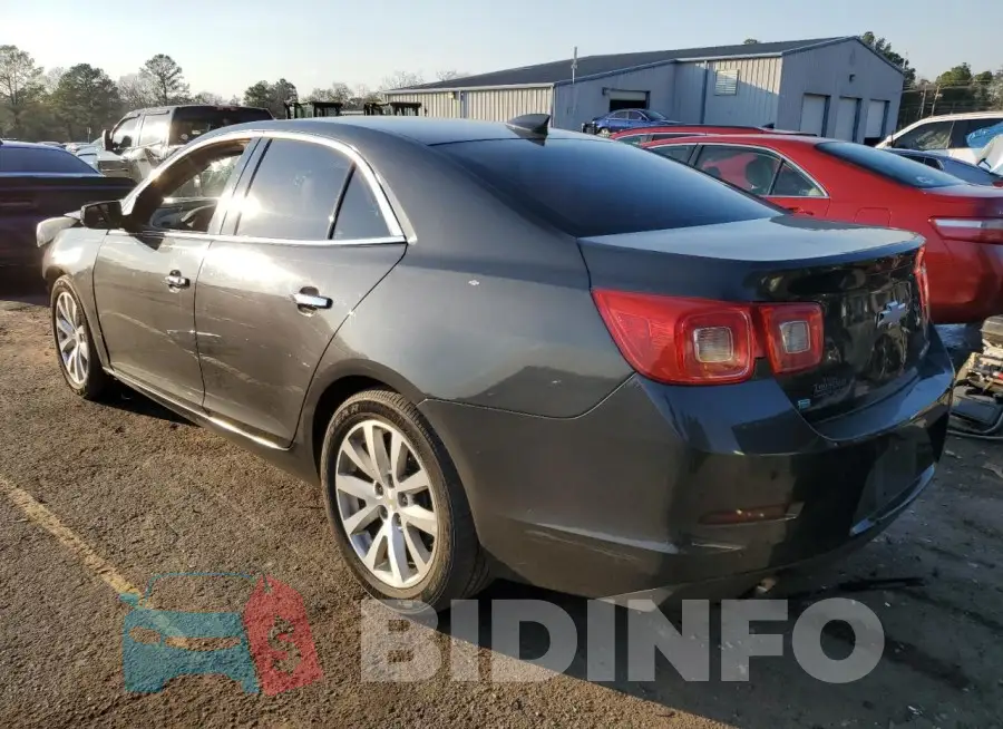 1G11F5SLXFF172686 Photo# 2