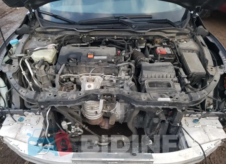 19XFC2F56GE067235 Photo# 11