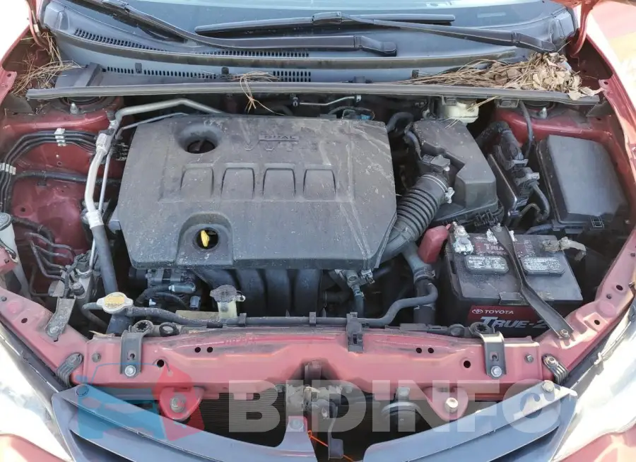 2T1BURHE2GC558126 Photo# 11