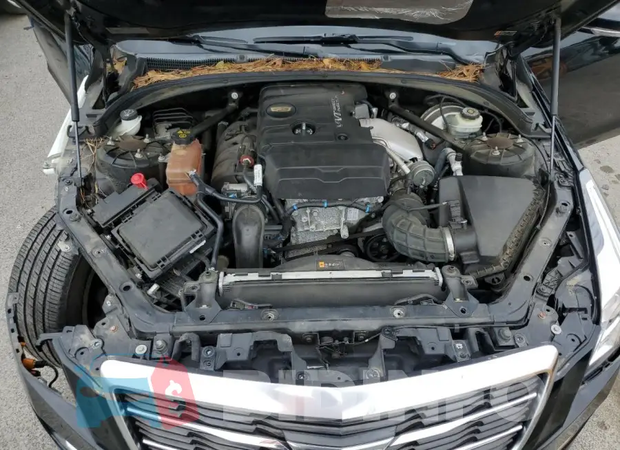 1G6AB5RX8F0102704 Photo# 11