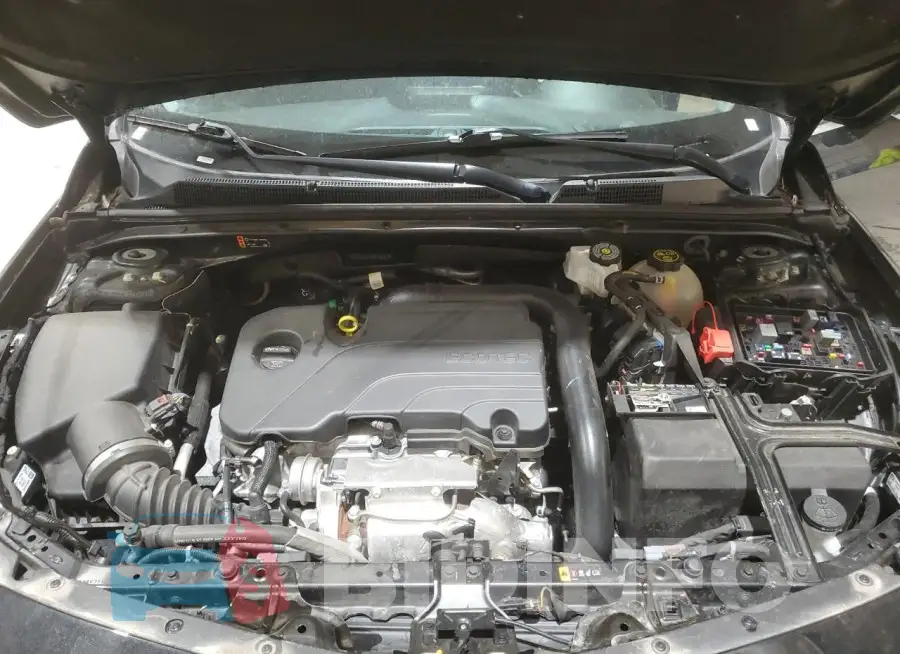 1G1ZD5ST0PF181570 Photo# 11