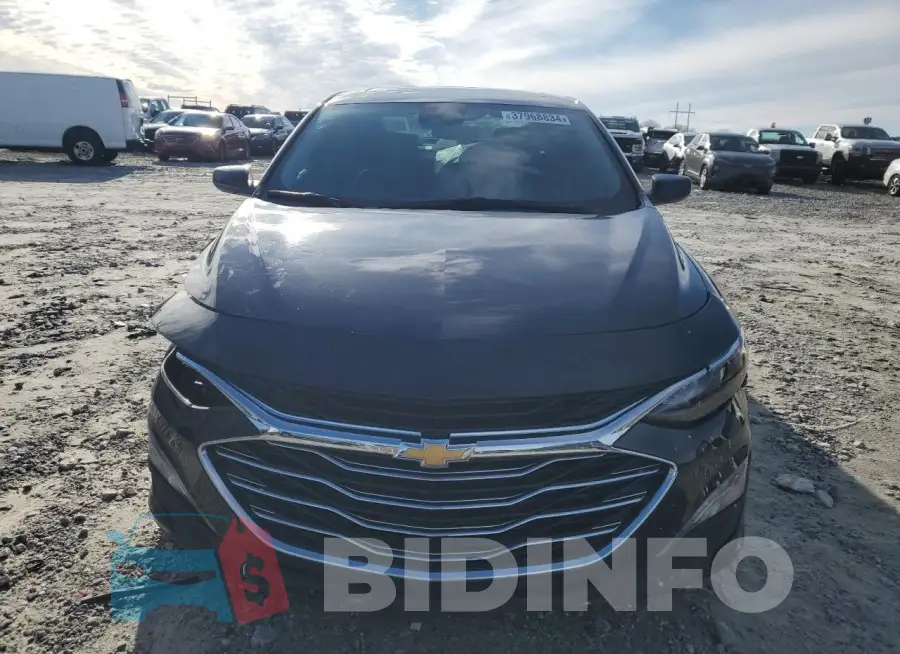 1G1ZD5ST5PF114303 Photo# 5