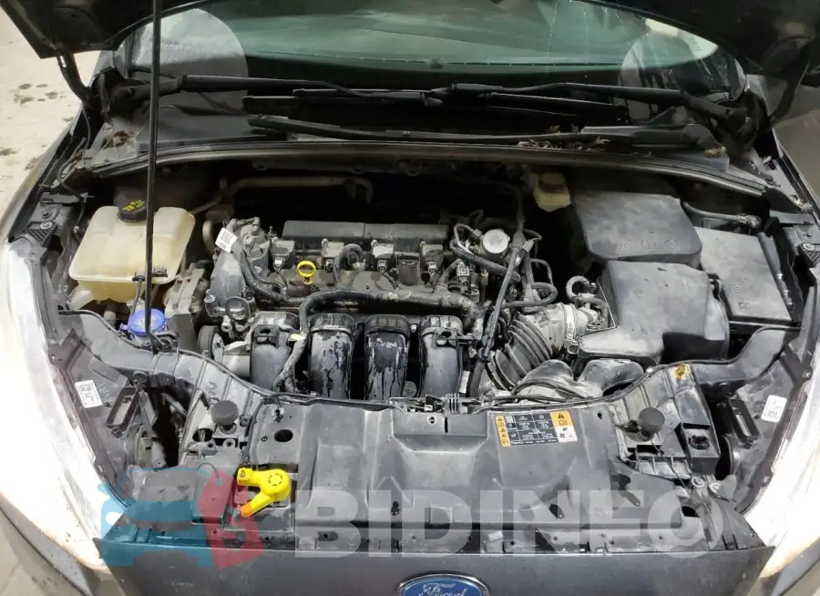 1FADP3E28HL299424 Photo# 11