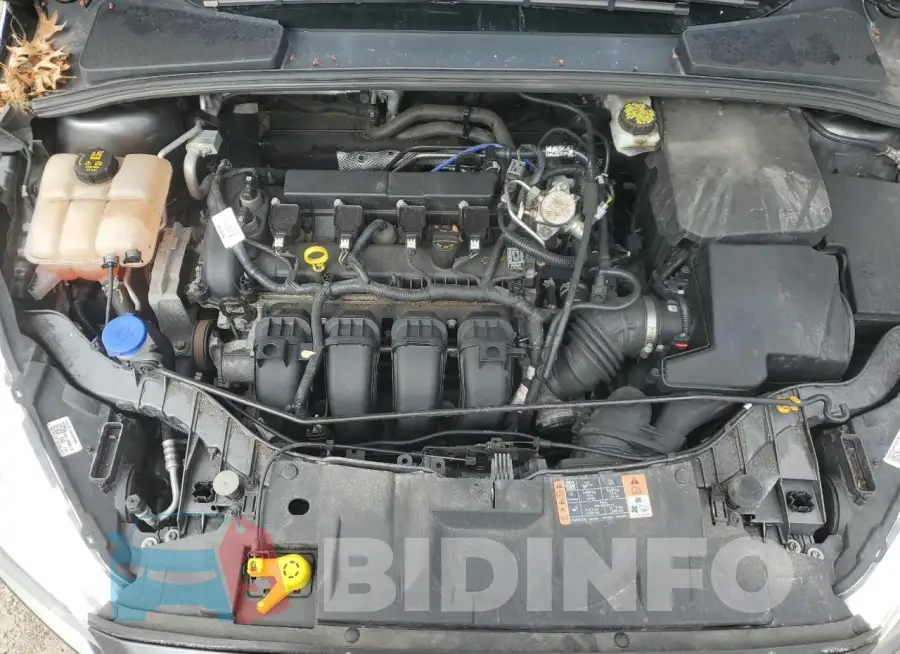 1FADP3F23HL294811 Photo# 11