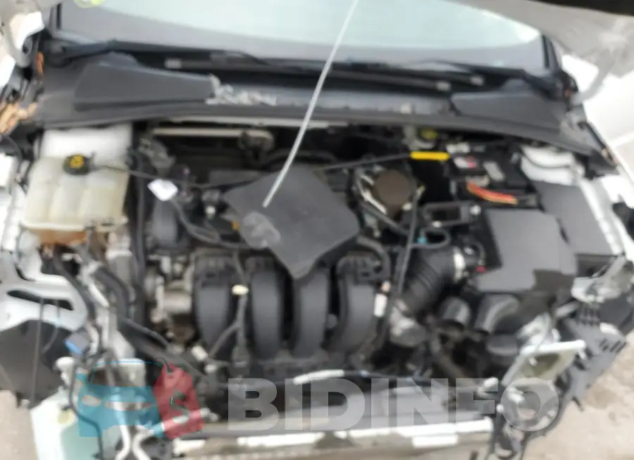 1FADP3K25GL270336 Photo# 11