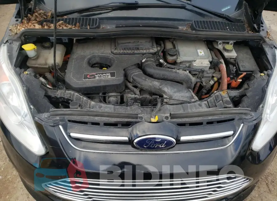 1FADP5CU8GL114884 Photo# 11
