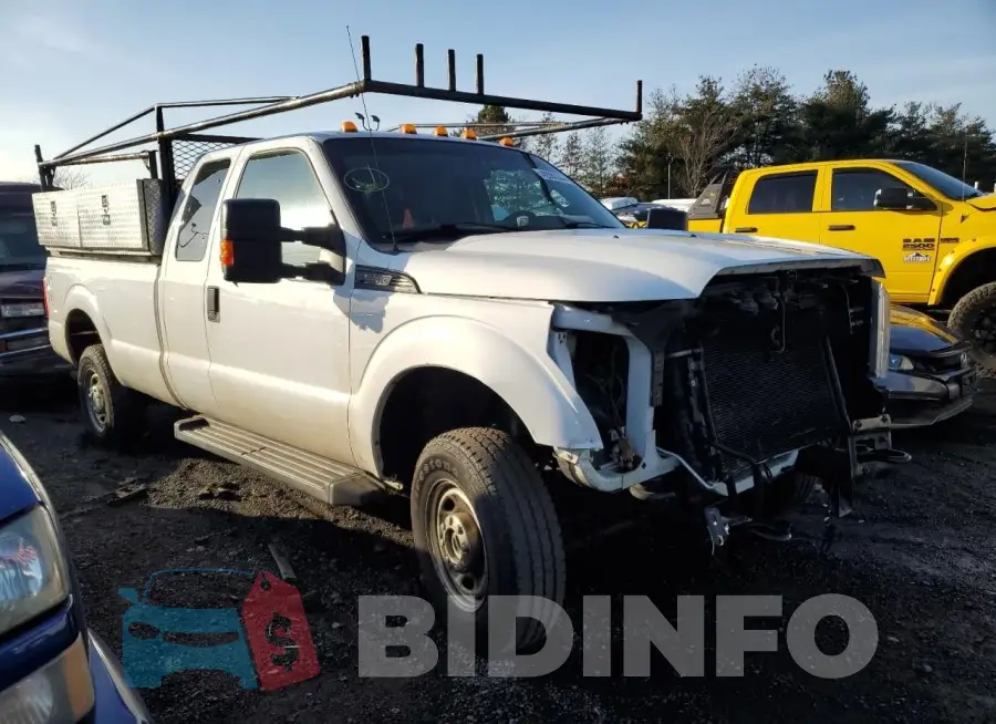 1FT8X3B61FEC16694 Photo# 4