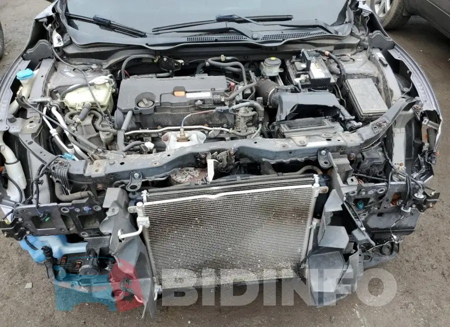 19XFC2F55HE208765 Photo# 11