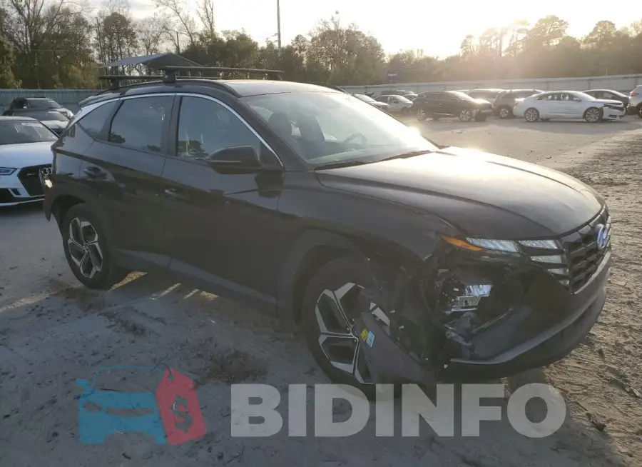 5NMJF3AE1PH208137 Photo# 4