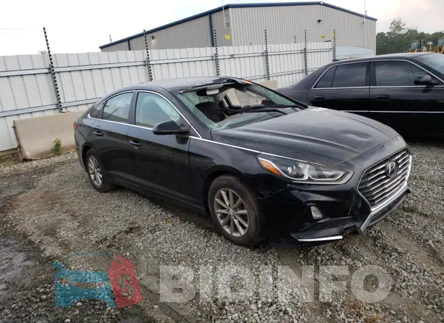 5NPE24AF5KH735041 Photo# 4