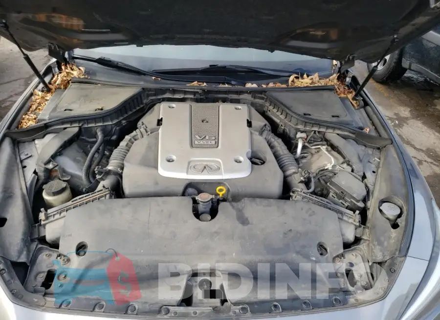 JN1BV7AR6FM402237 Photo# 11