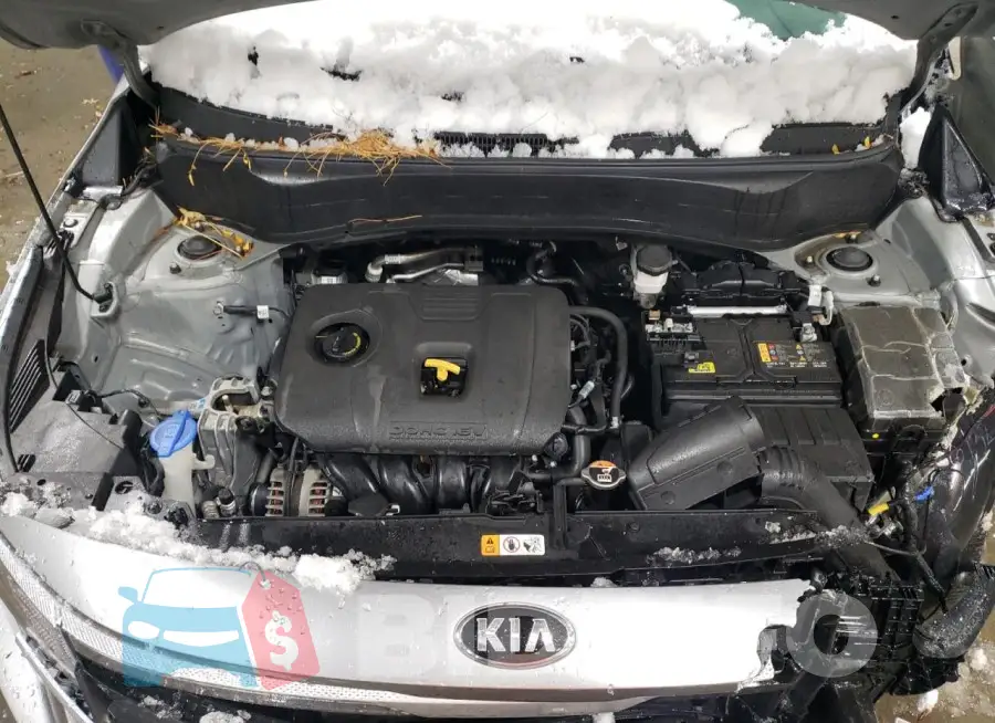 KNDERCAA3M7217947 Photo# 11