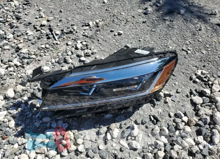 1VWSA7A3XMC017865 Photo# 12