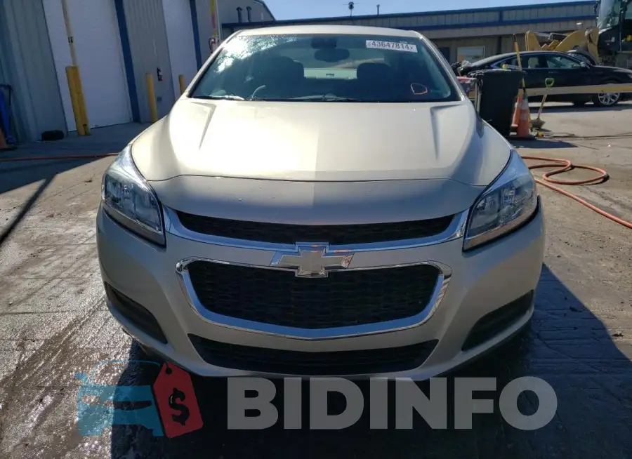 1G11B5SL7FF143271 Photo# 5