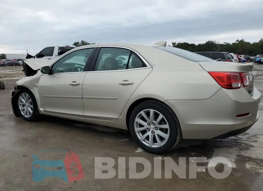 1G11D5SL3FF320554 Photo# 2