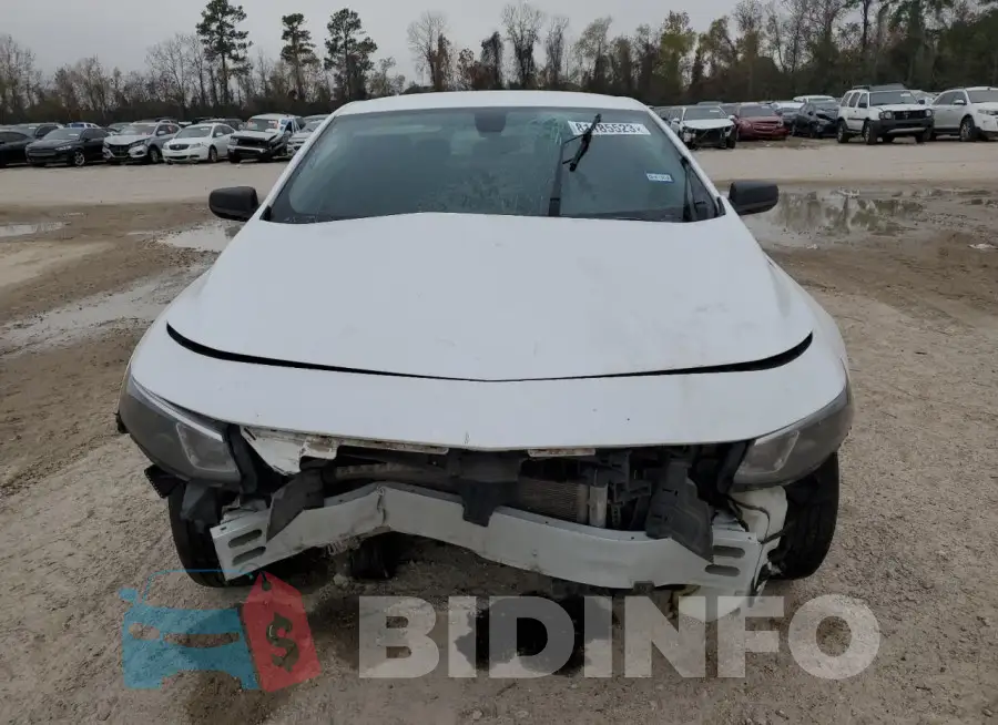 1G1ZB5ST3JF138502 Photo# 5