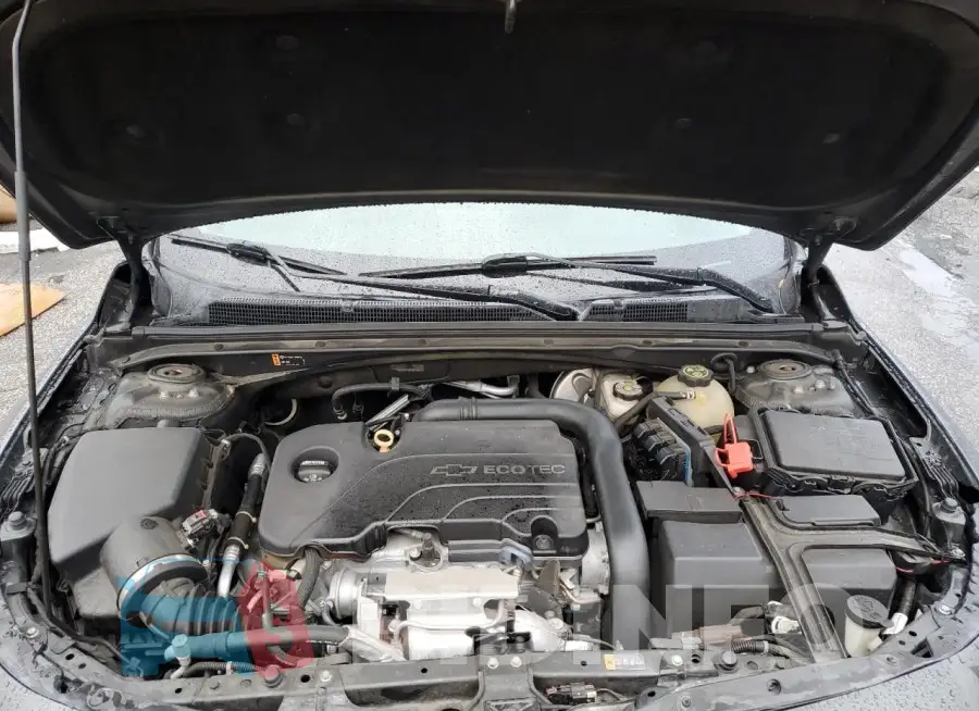 1G1ZE5ST1HF182550 Photo# 11