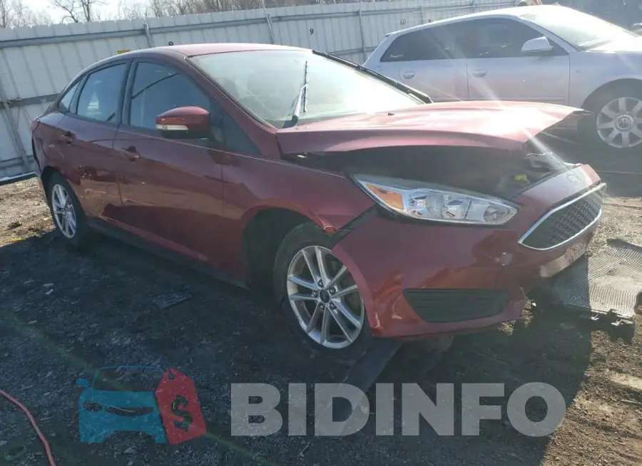 1FADP3F29GL206990 Photo# 4