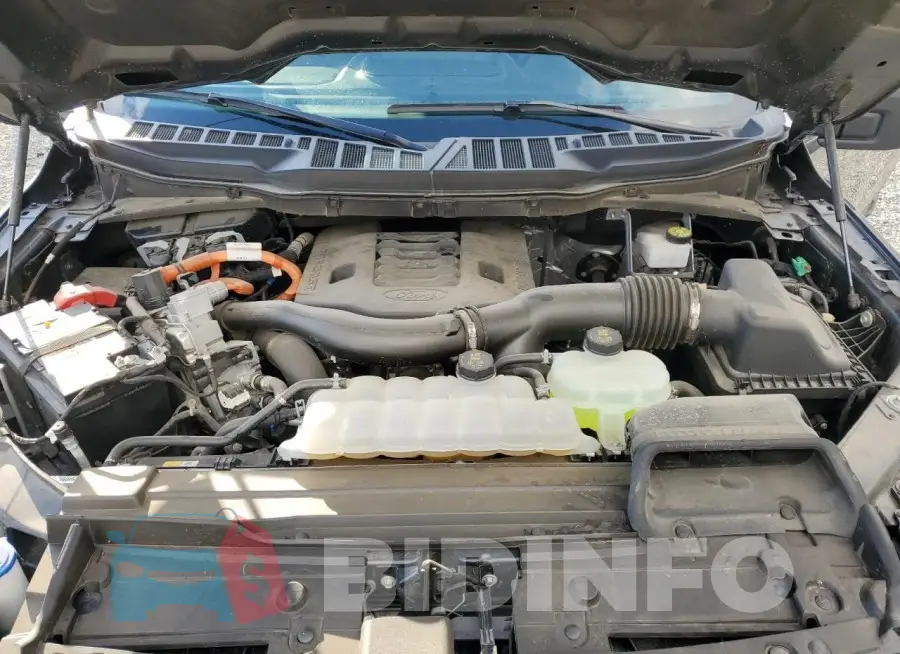1FTFW1EDXPFB87569 Photo# 11