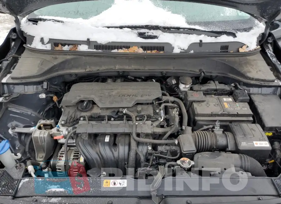 KM8K6CAB4PU934489 Photo# 11