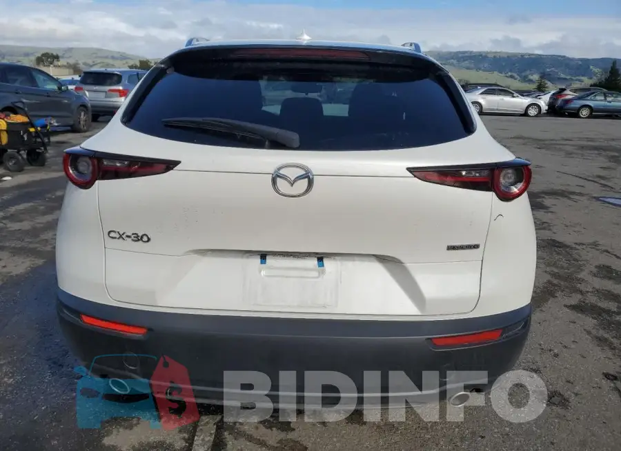 3MVDMADL6MM254037 Photo# 6