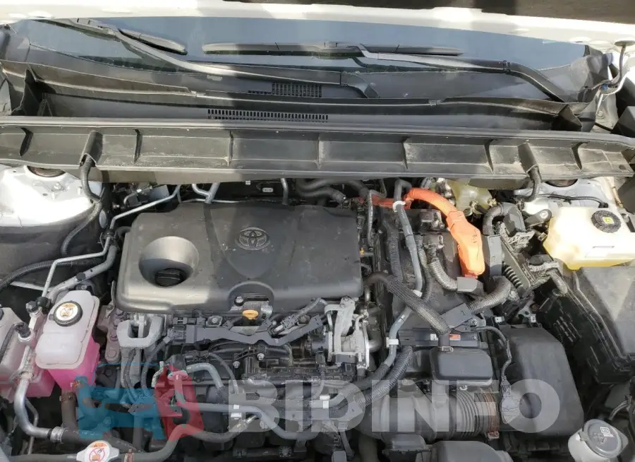 5TDGBRCH2LS503416 Photo# 11