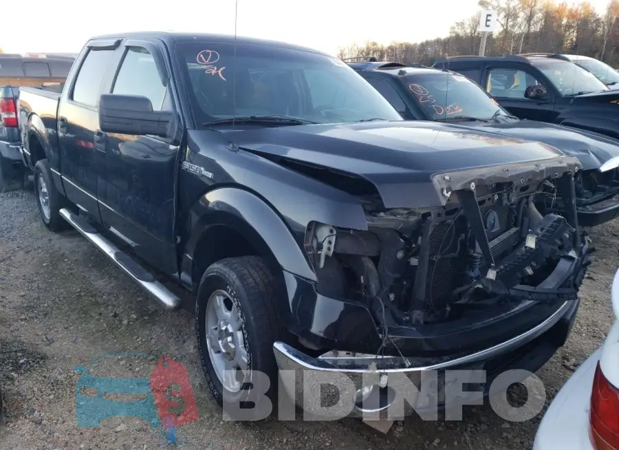 5TFEY5F10MX297618 Photo# 4