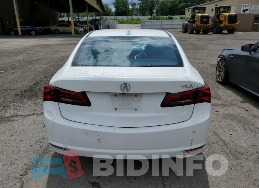 19UUB1F50GA005354 Photo# 6