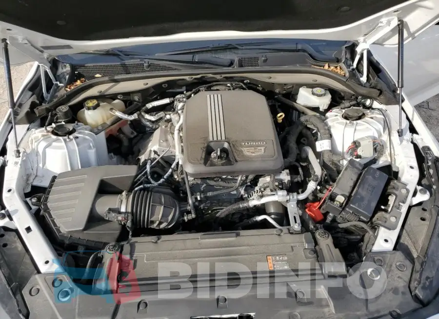 1G6DP5RK8L0117721 Photo# 11