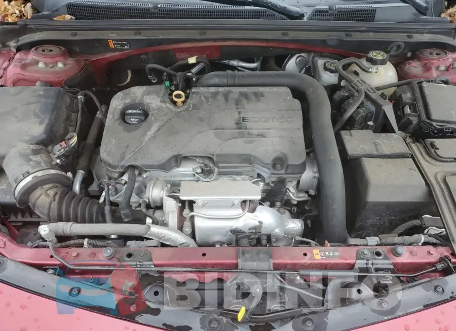 1G1ZD5ST3KF132209 Photo# 11