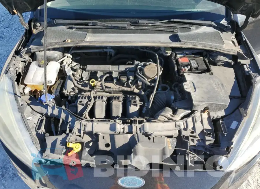 1FADP3F26FL313784 Photo# 11
