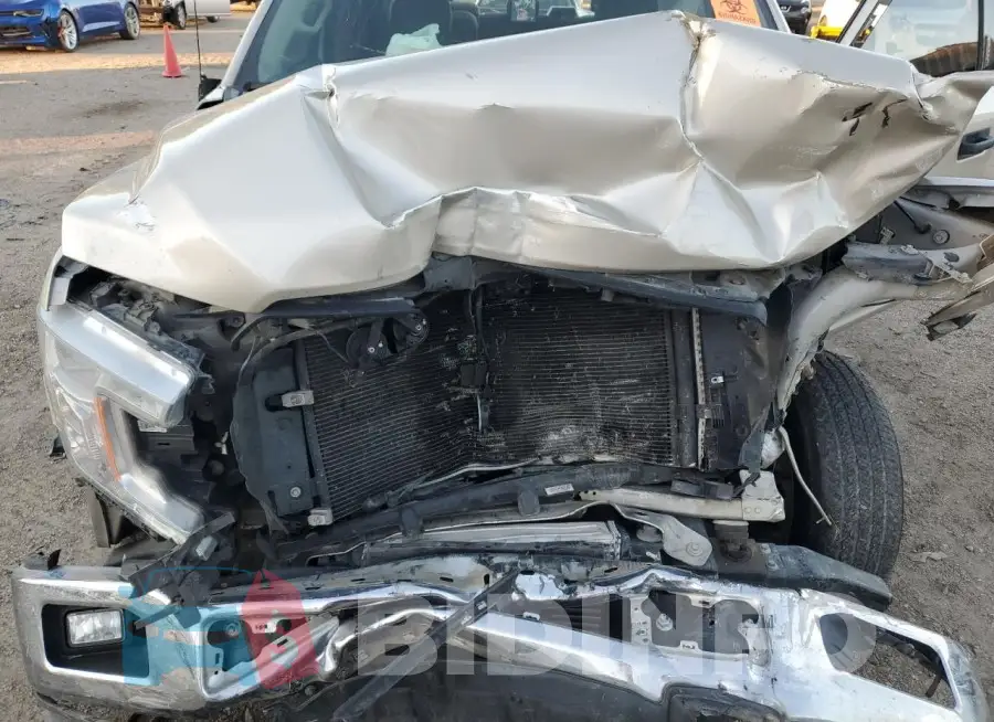 1FTEW1CP0JKC99952 Photo# 11