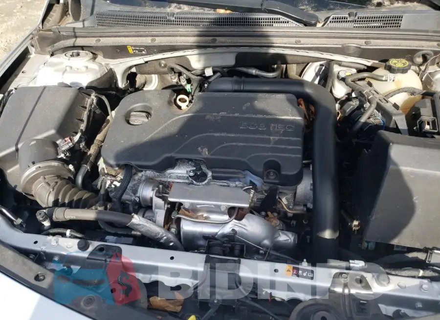 1G1ZD5ST5LF006967 Photo# 11