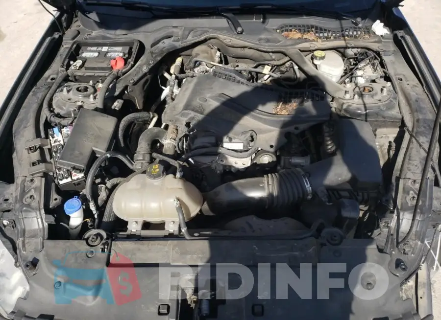 1FATP8UH3M5121613 Photo# 11