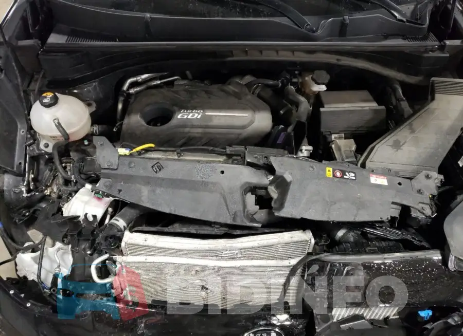 KNDPRCA64M7874132 Photo# 12