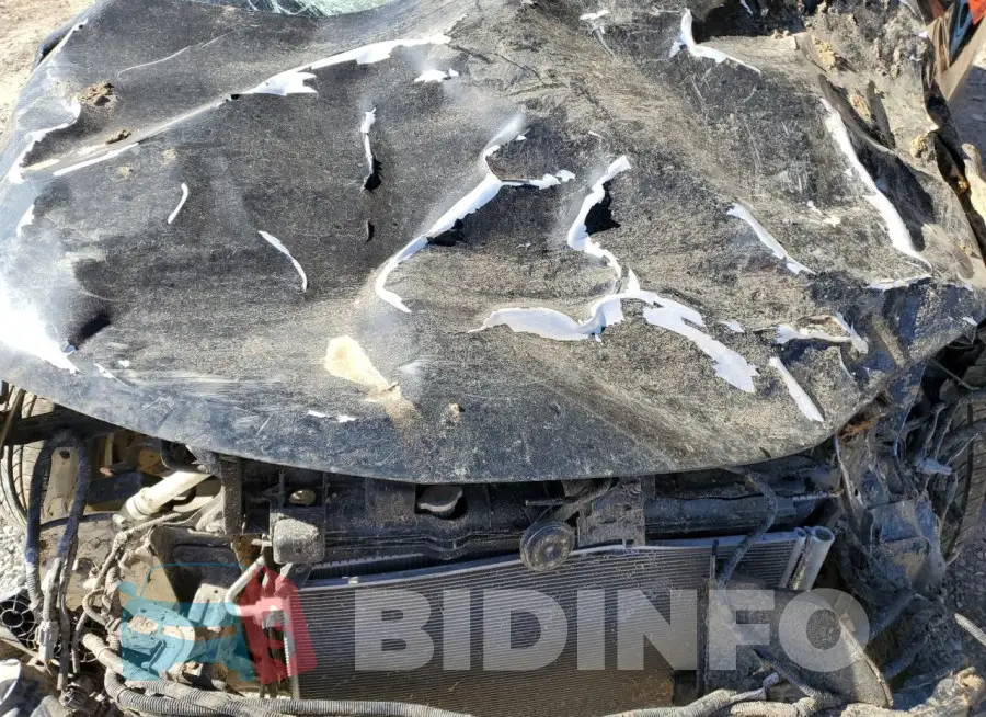 KNMAT2MT0GP684075 Photo# 12