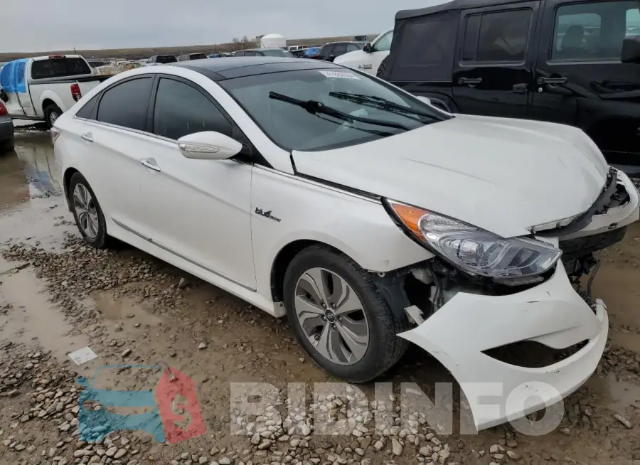 KMHEC4A44FA125099 Photo# 4