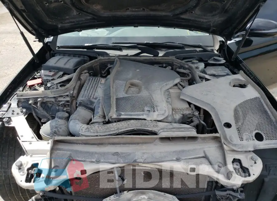 WDDZF4JB3HA154372 Photo# 11