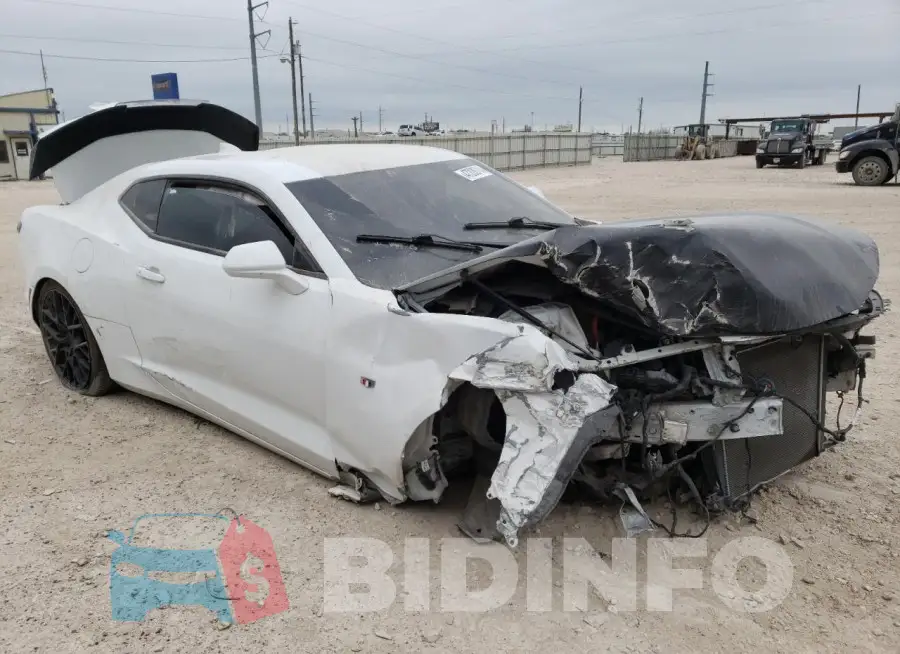 1G1FB1RS5M0107817 Photo# 4