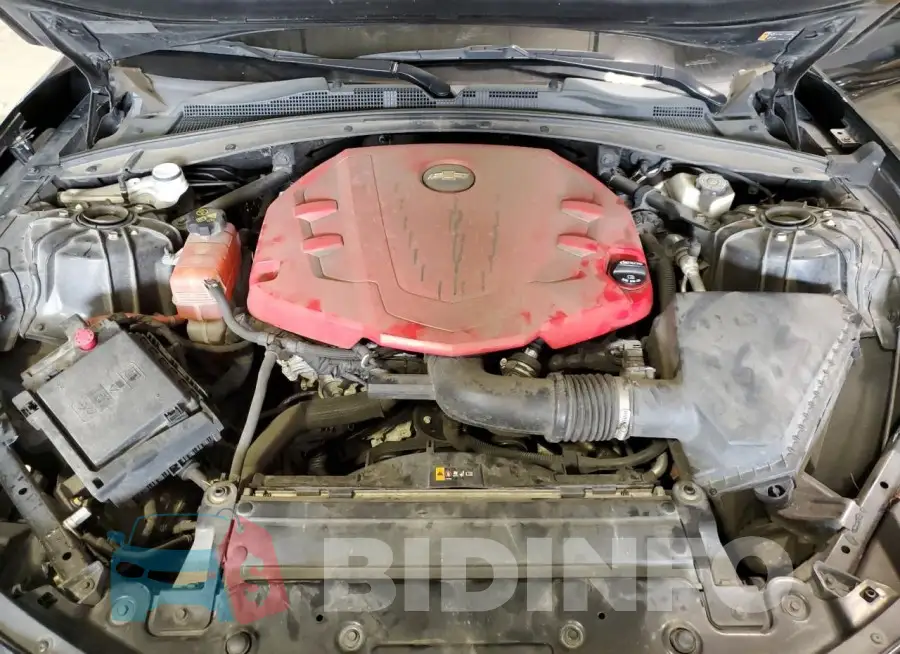 1G1FB1RS8G0172469 Photo# 11