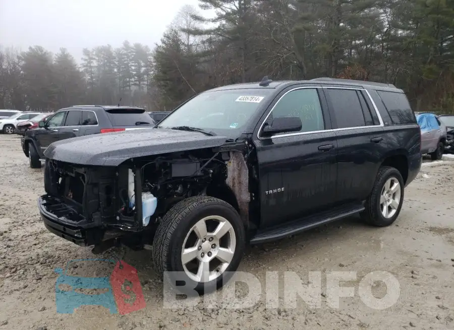 1GNSKBKC1GR236207 Photo# 1