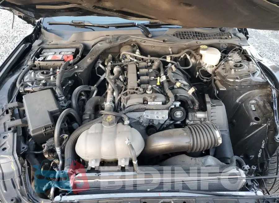 1FA6P8TH6M5150943 Photo# 11