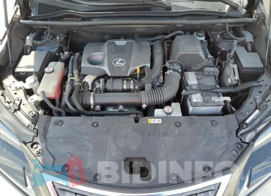JTJDARBZ9L5006804 Photo# 12
