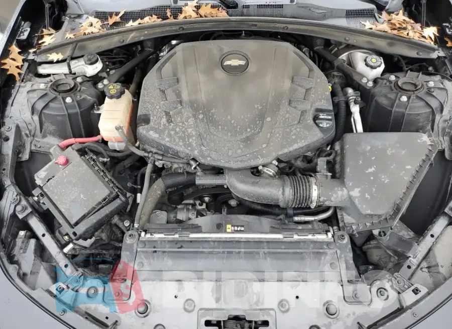 1G1FB1RS2M0113686 Photo# 11