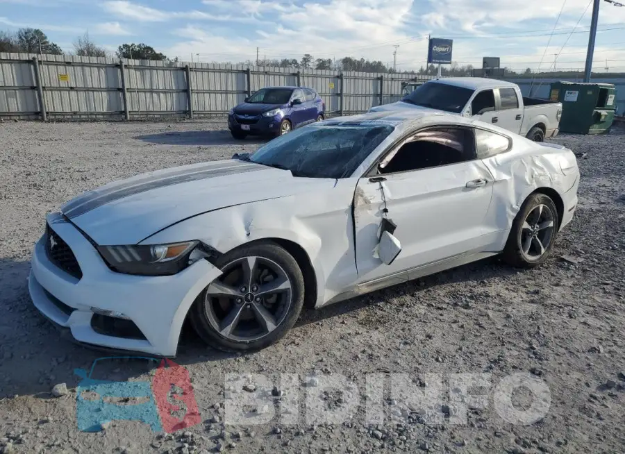 1FA6P8AM4F5377499 Photo# 1