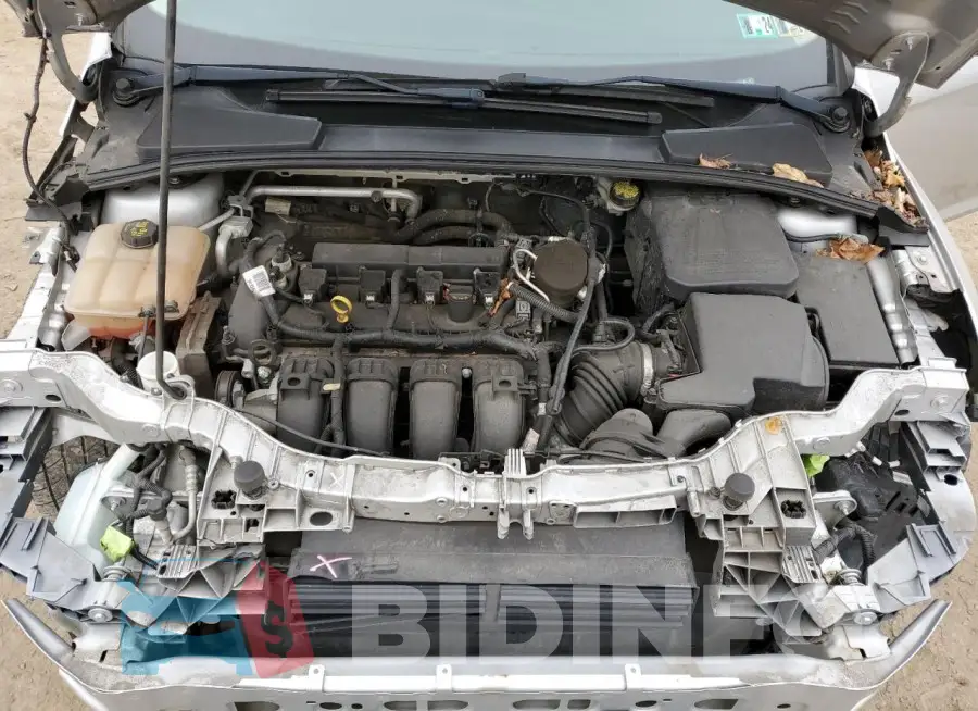 1FADP3F28GL257395 Photo# 11